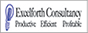 Excelforth Consultancy